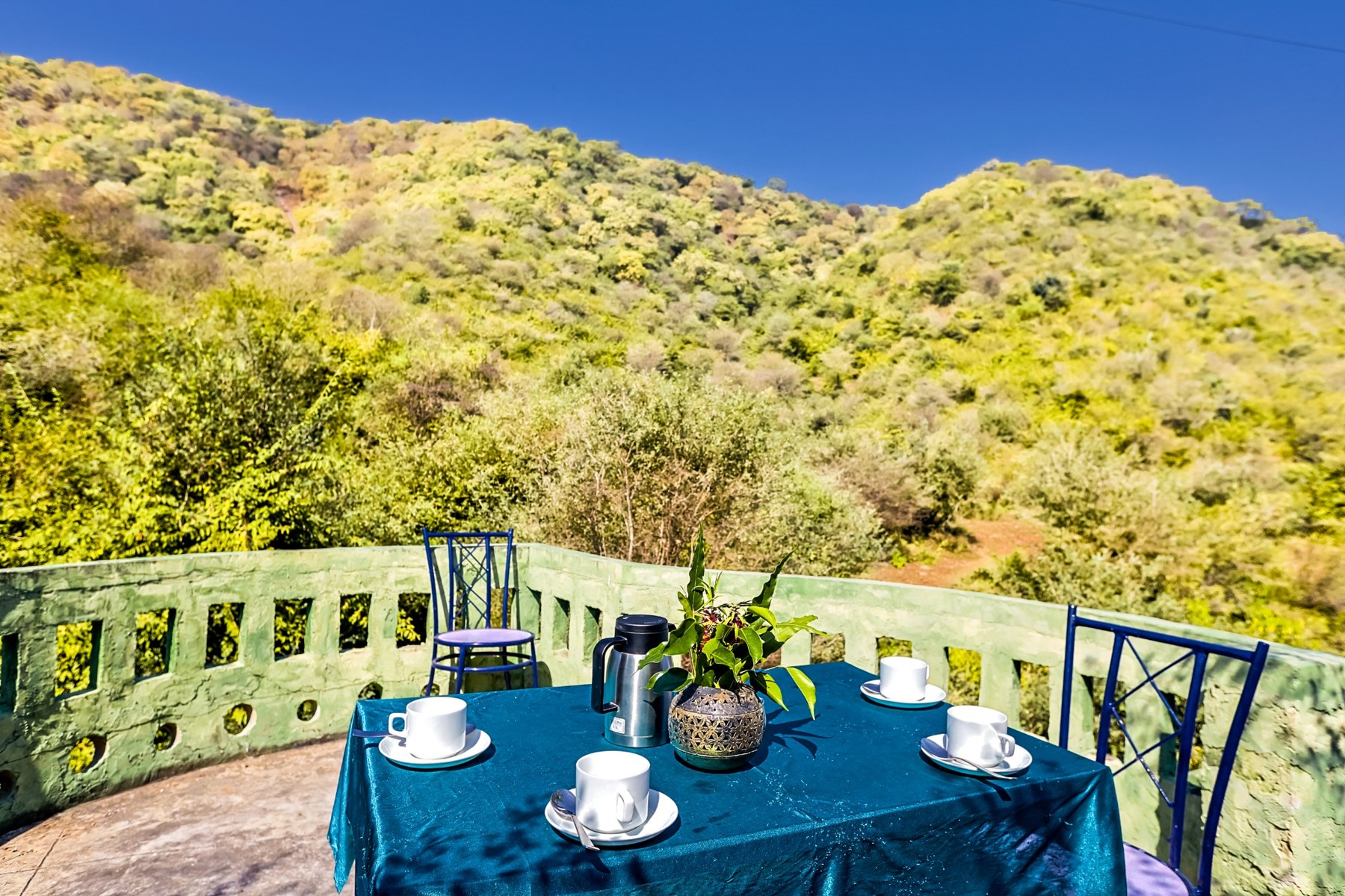 Sariska Forest Trails trails