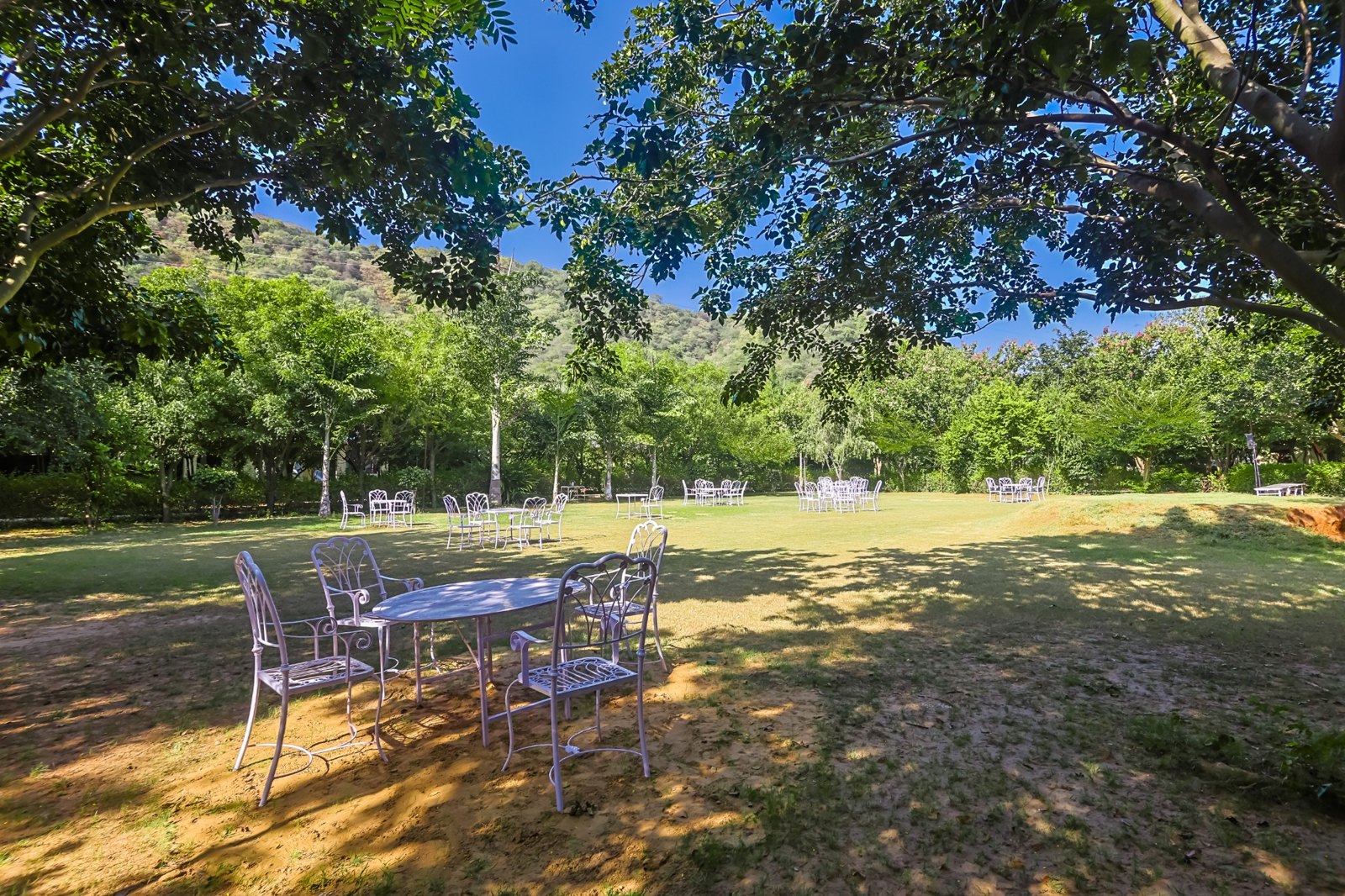 Sariska Forest Trails lawn area