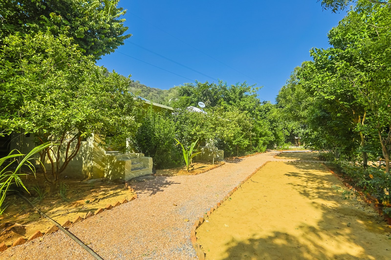 Sariska Forest Trails surroundings