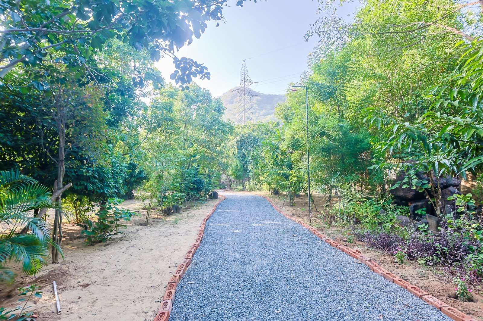 Sariska Forest Trails nature walk