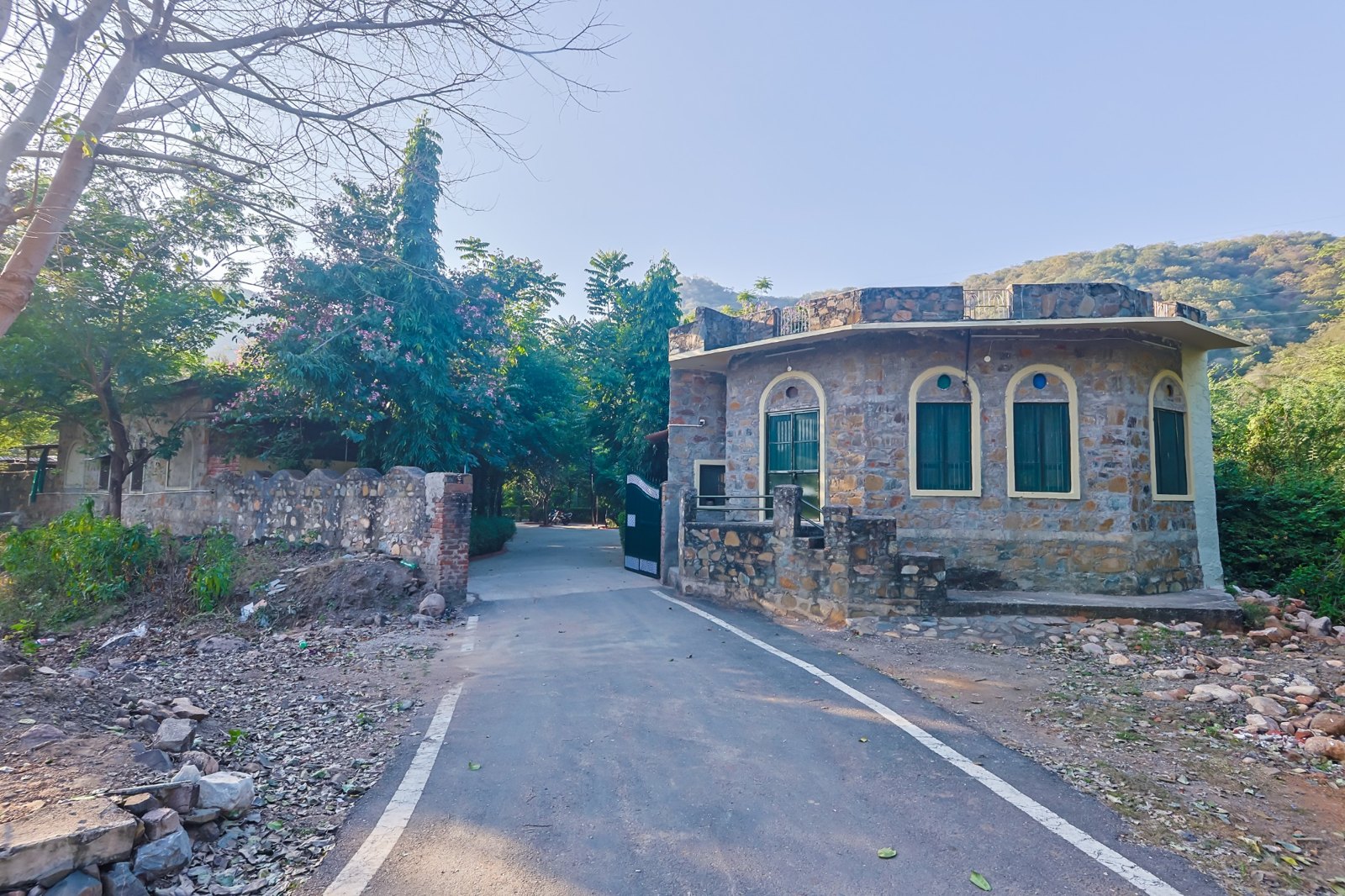 Sariska Forest Trails forest ambience