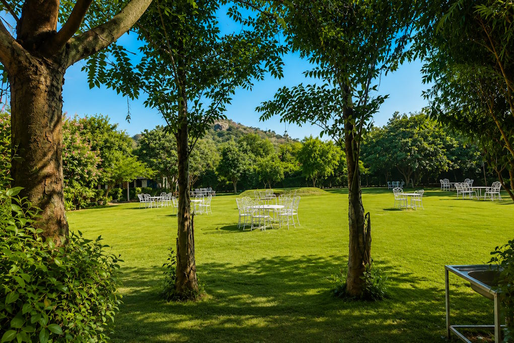 Alfresco Garden